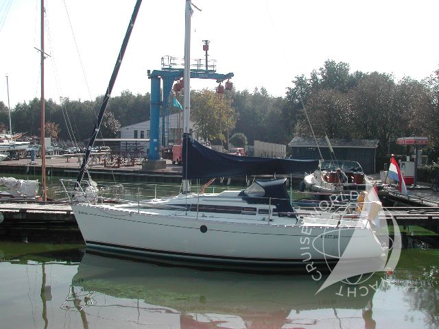 Seagull